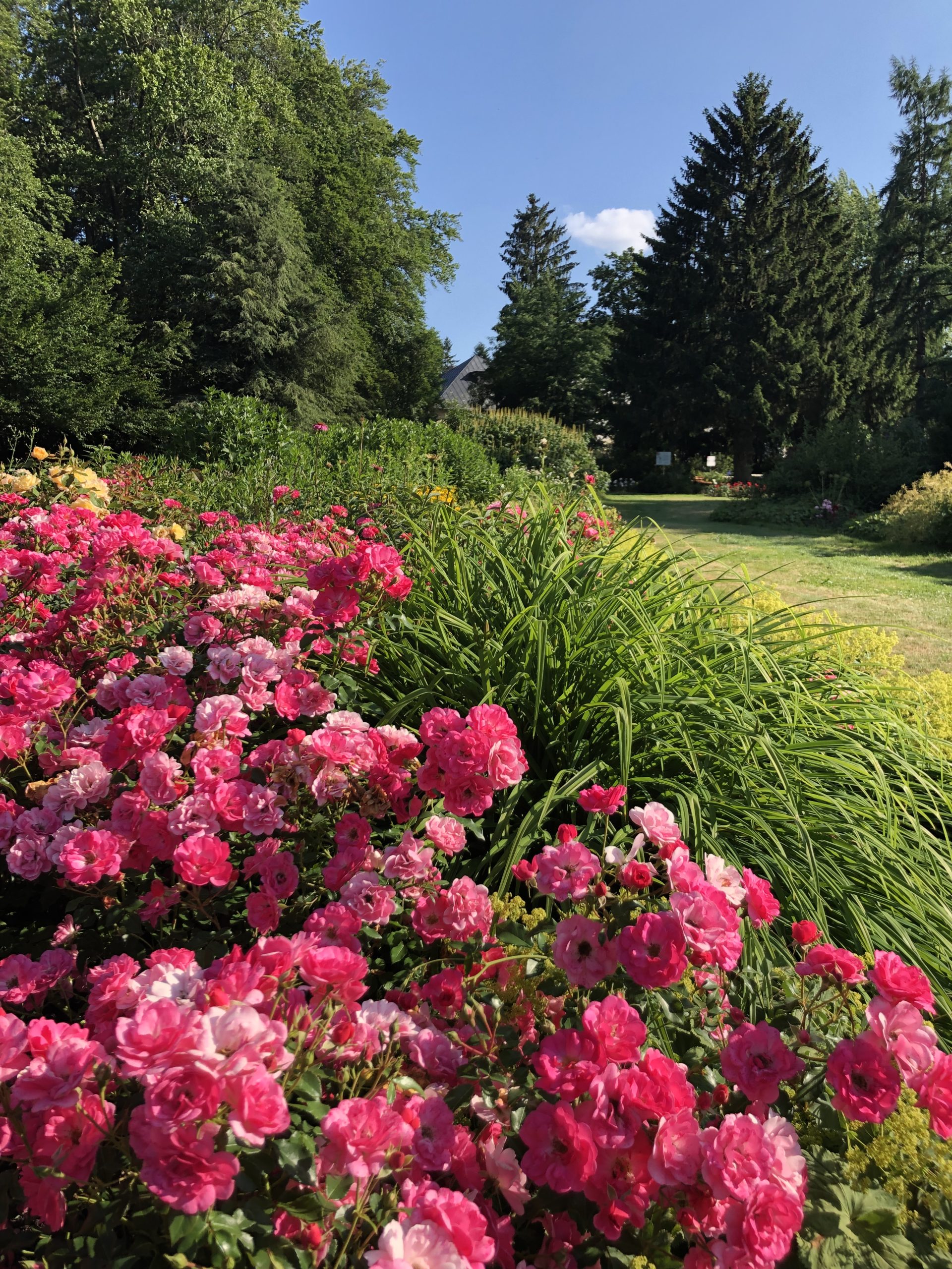 Kurpark_Juli_2019-11-scaled